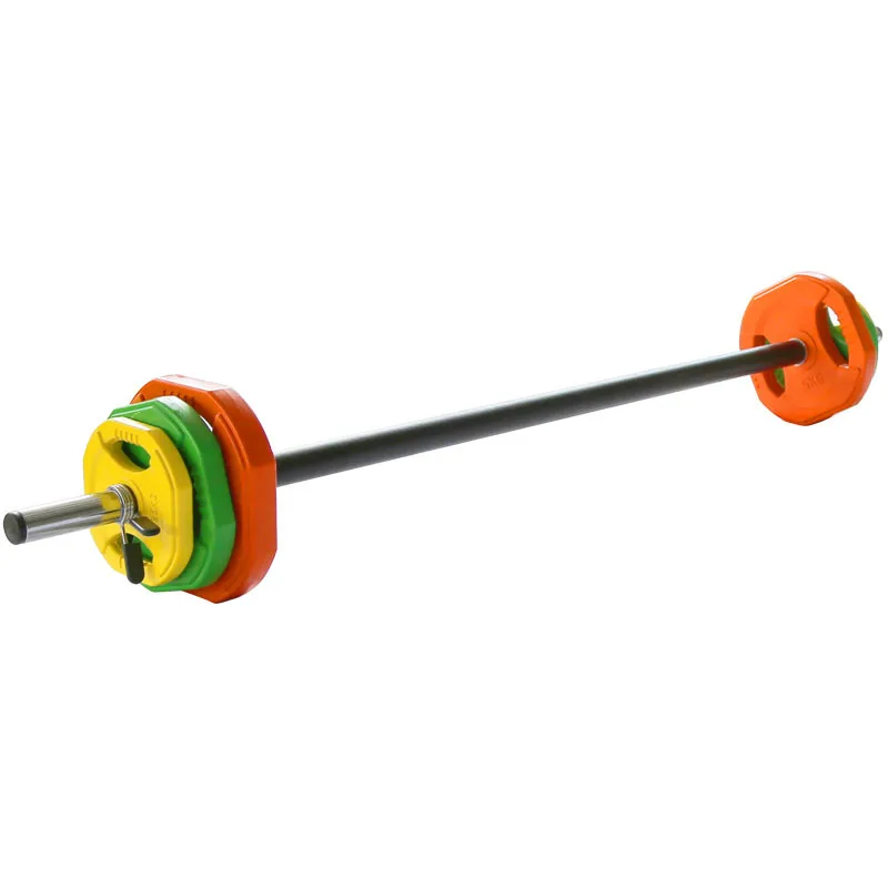 Hot Selling Colorful Cast Iron Coded Bumper Plate 2 Inch Weight Plates with Stainless Steel Insert for Barbell Strength Training