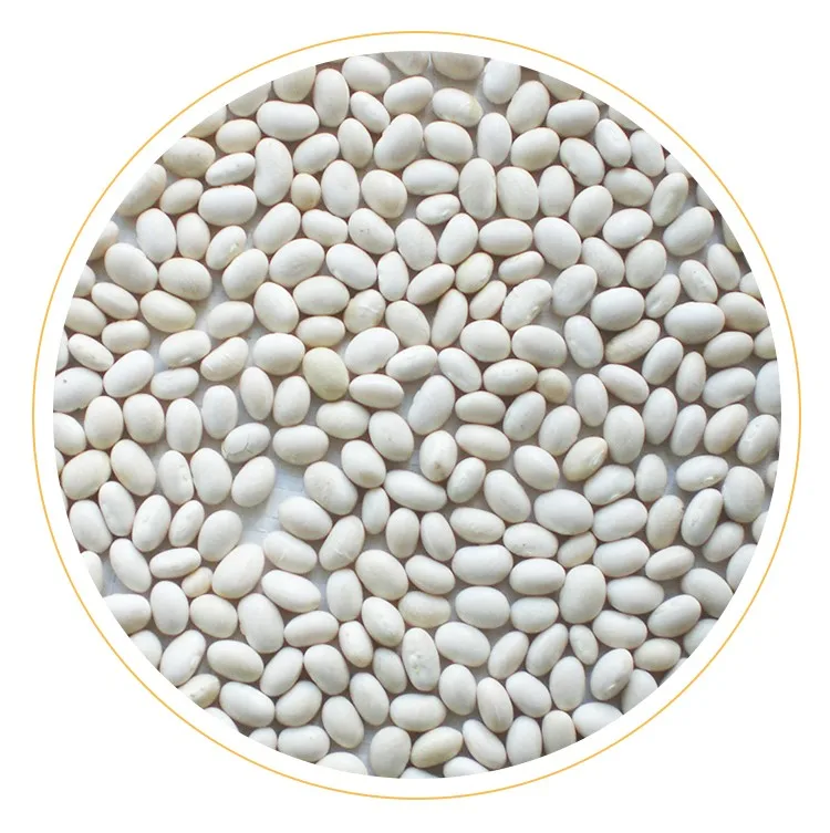 
New Crop High Quality Organic White Kidney Beans 
