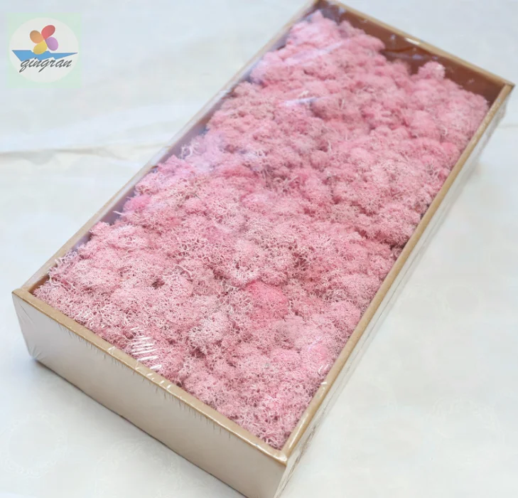 Preserved moss natural and real touch moss 200g and 500g