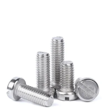 M5*20mm SS304 SS316 Slotted Round Head Screws