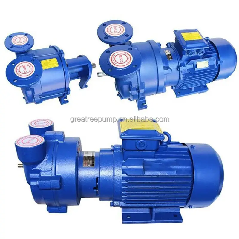 2BV high temperature electric vacuum pump for oil and gas industry