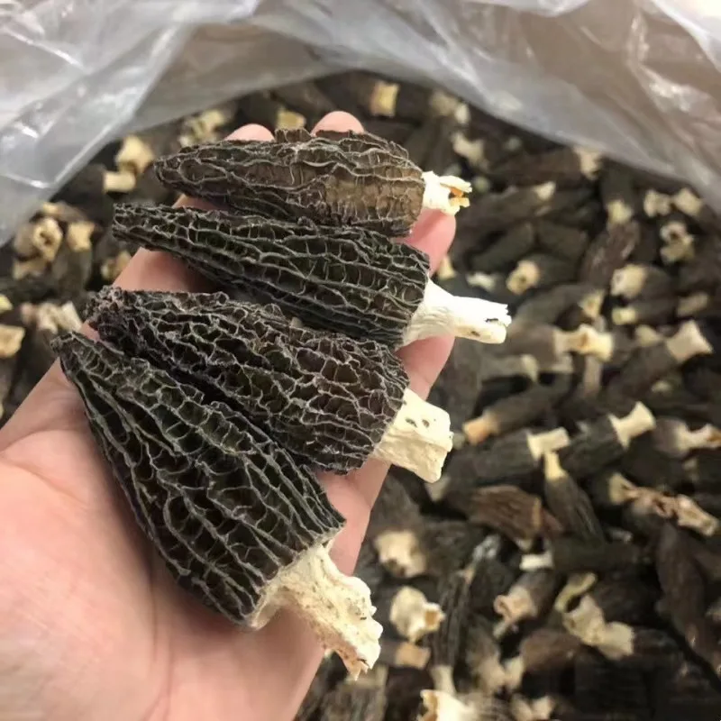 High-quality dried morels directly from the manufacturer Edible black morels Mushroom Wholesale Morchella Mushroom