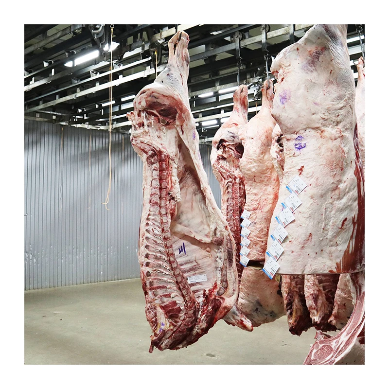 Brand vacuum pack frozen half set a5 wagyu beef japan for sale