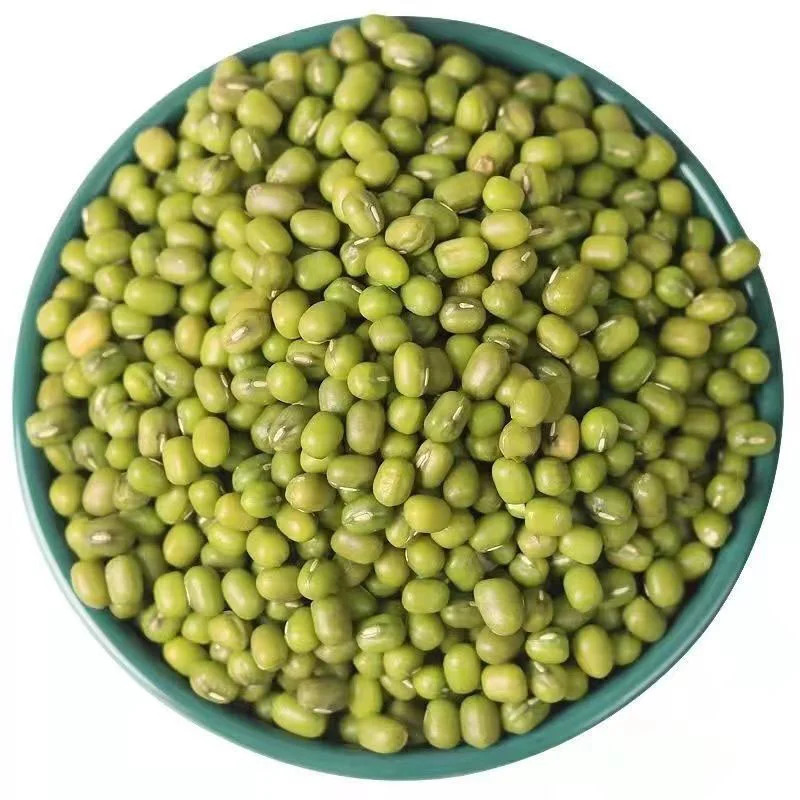 China Manufacturer bean mung 100% Natural bean organic bean green