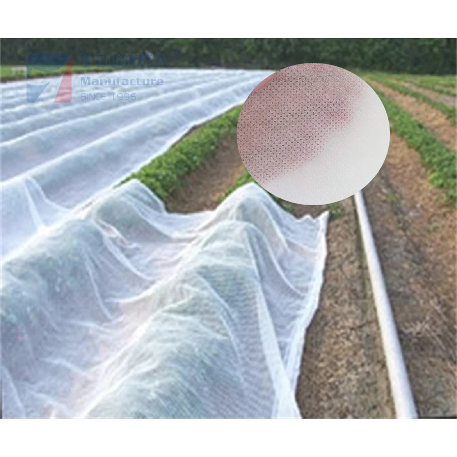 Factory Good Price Agricultural heat preservation and insect-proof seedling non-woven fabric