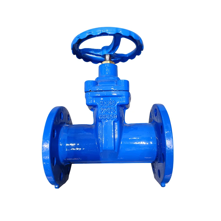 GGG50 19KG PN10 PN16 Flange For Water Supply Syst F5 DN100 Resilient Seated Gate Valve