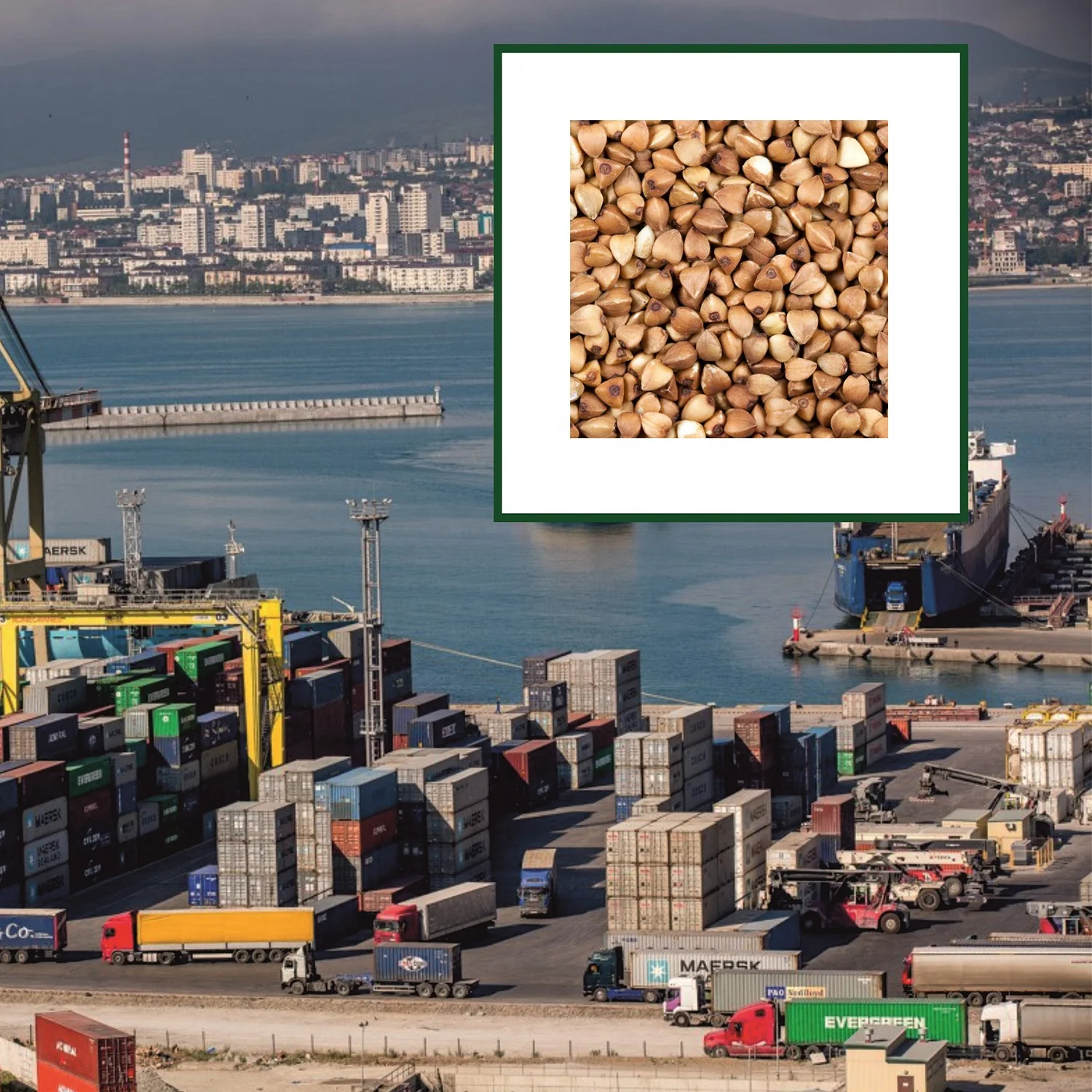 High quality buckwheat groats custom package design available, from manufacturer