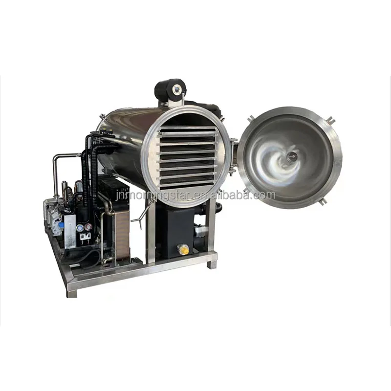 Hot selling automatic food Vegetables Seafood Fruits vacuum freeze dryer Lyophilizer dehydration Machine Equipment Factory price