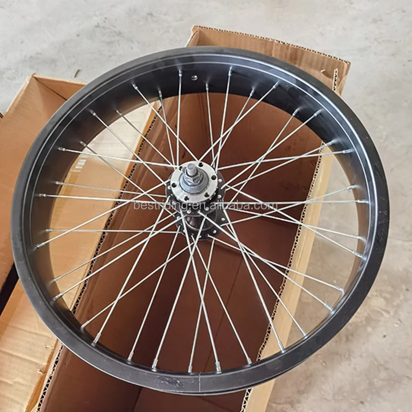 20*4.0 double wall aluminum wheelset for electric bike with sealed bearing hub