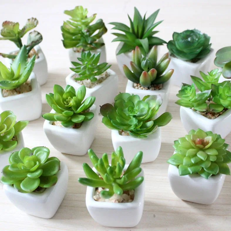 Mini Assorted Green Artificial Succulent Plants in Square White/Black Ceramic Potted