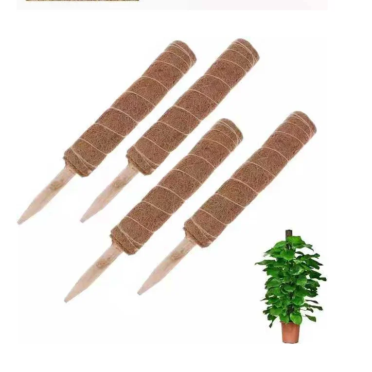 
Broccoli potted plant climbing rattan stick coconut palm stick flower support coconut palm plant climbing frame 