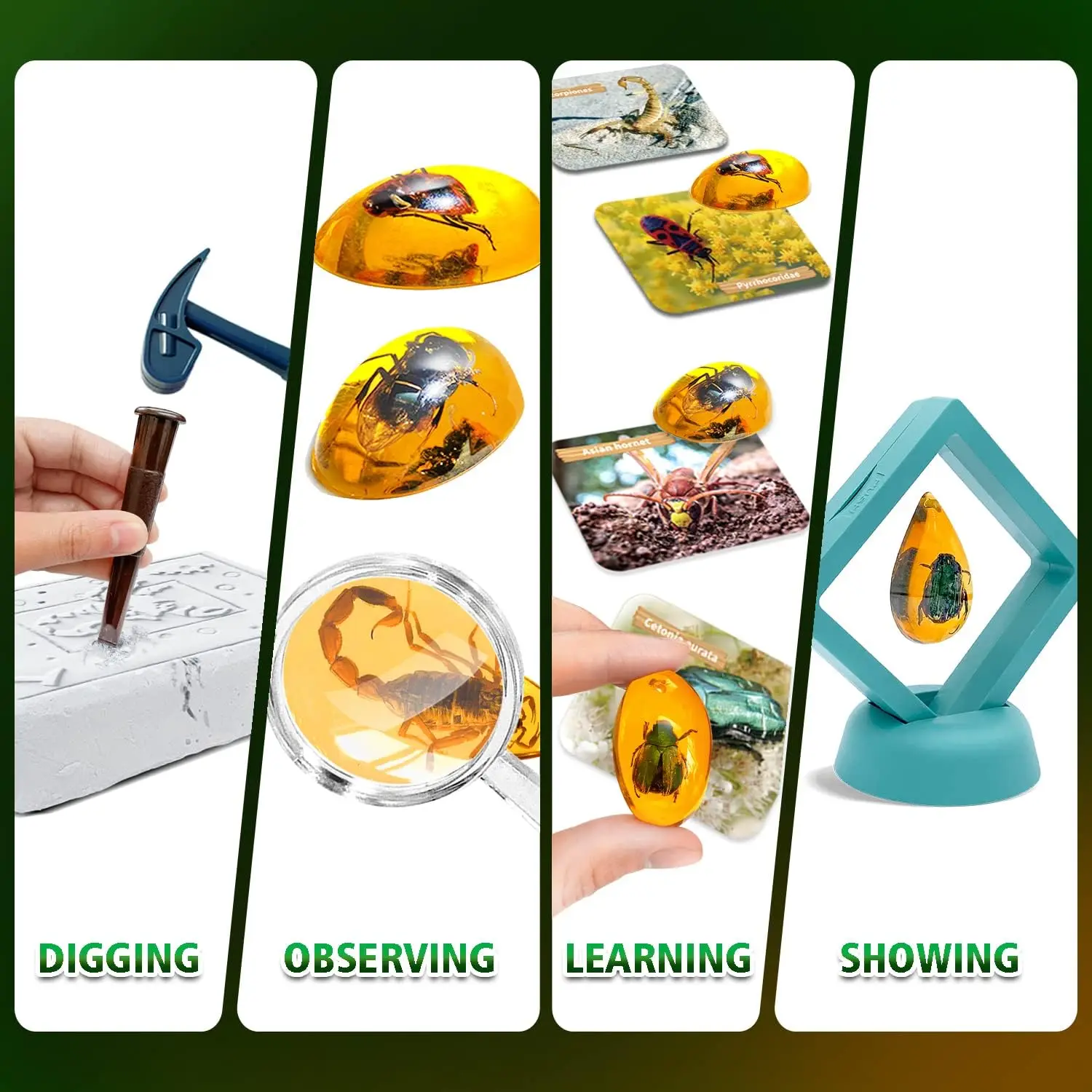 Bug Amber Archaeological Science Experiments For Kids Educational Diy Stem Amber Dig Kit