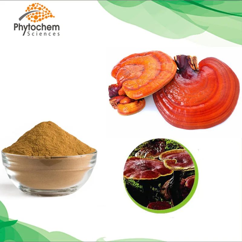 Factory Supply Polysaccharide 2% Triterpene Fresh Ganoderma lucidum Extract, 30% Polysaccharide Reishi Mushroom Extract