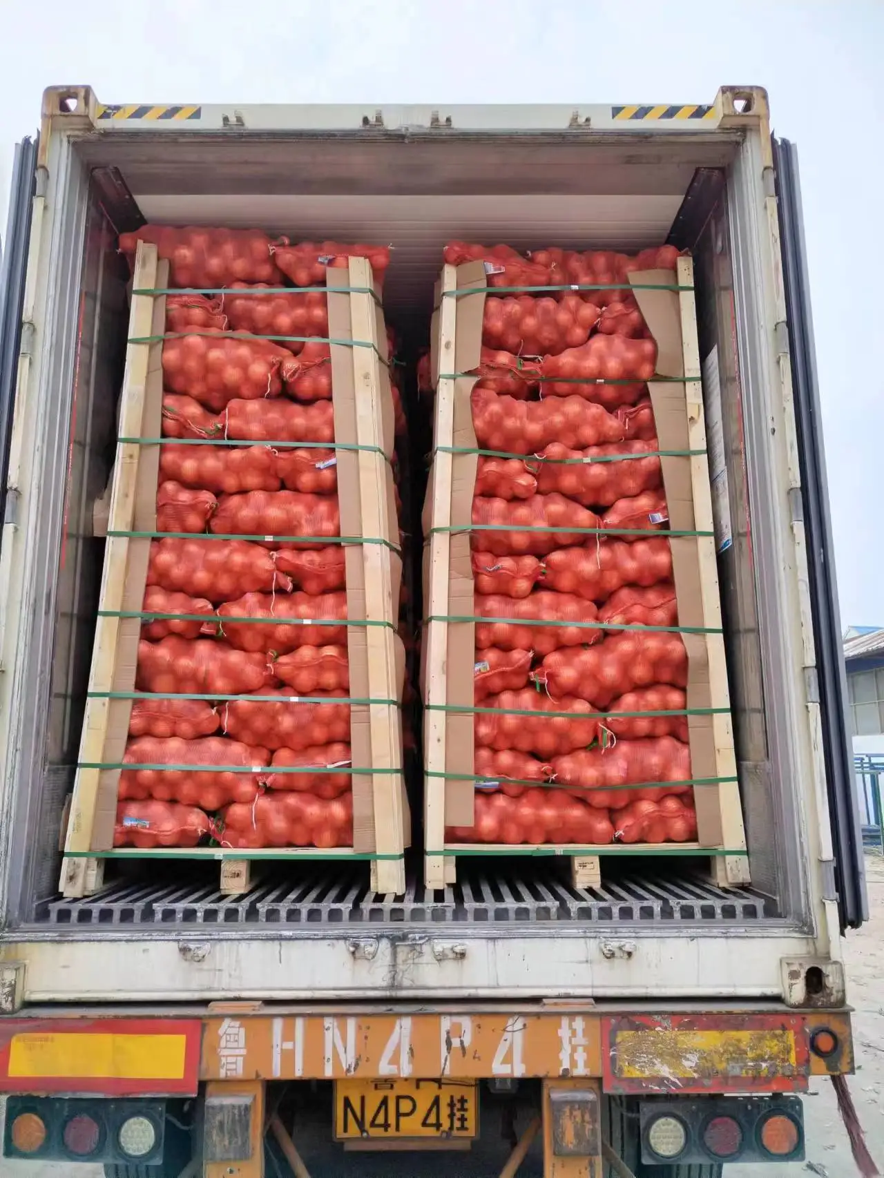 Buy Red Onion Chinese Fresh Yellow Onion Mesh Bag Price