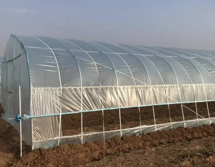 Hangmei Economic single span greenhouse poly tunnel invernadero smart for