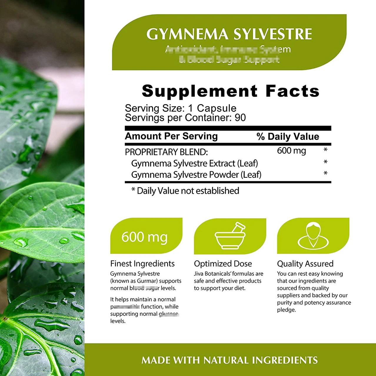 Натуральный экстракт Gymnema Sylvestre 600 мг капсулы для взрослых