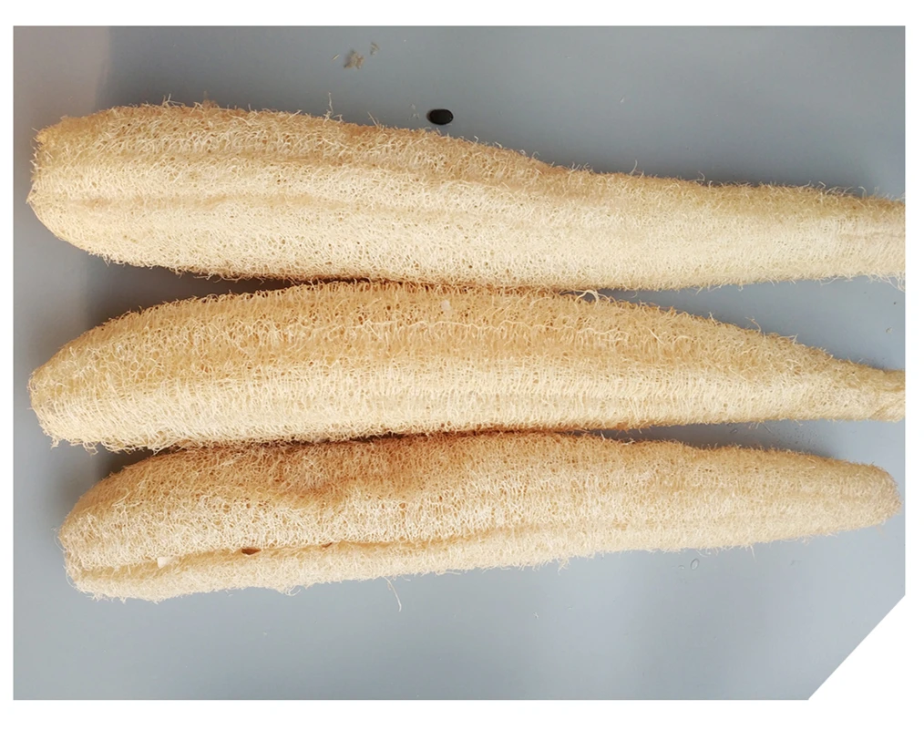 Loofah Bathing Sponge Natural Shower Sponge Loofah Local Exfoliating Bath Sponge Bulk Body Cleaning Brush