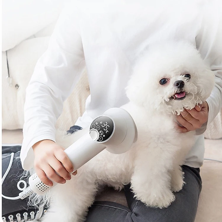 300W small animal cat accessories motor hand held plastic grooming pet hair dryer