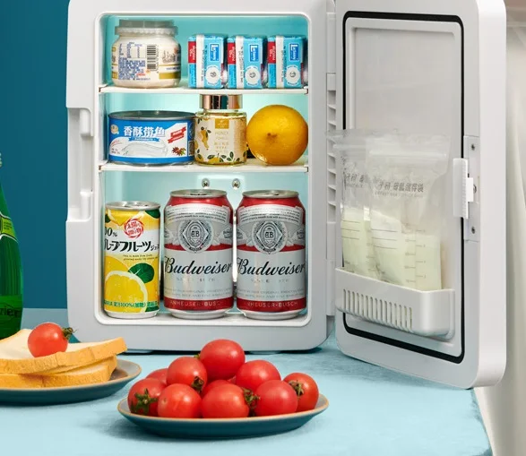 10L Portable Smart Led Mirror Makeup Fridge Retro-style Mini Refrigerator for Cosmetics Hotel