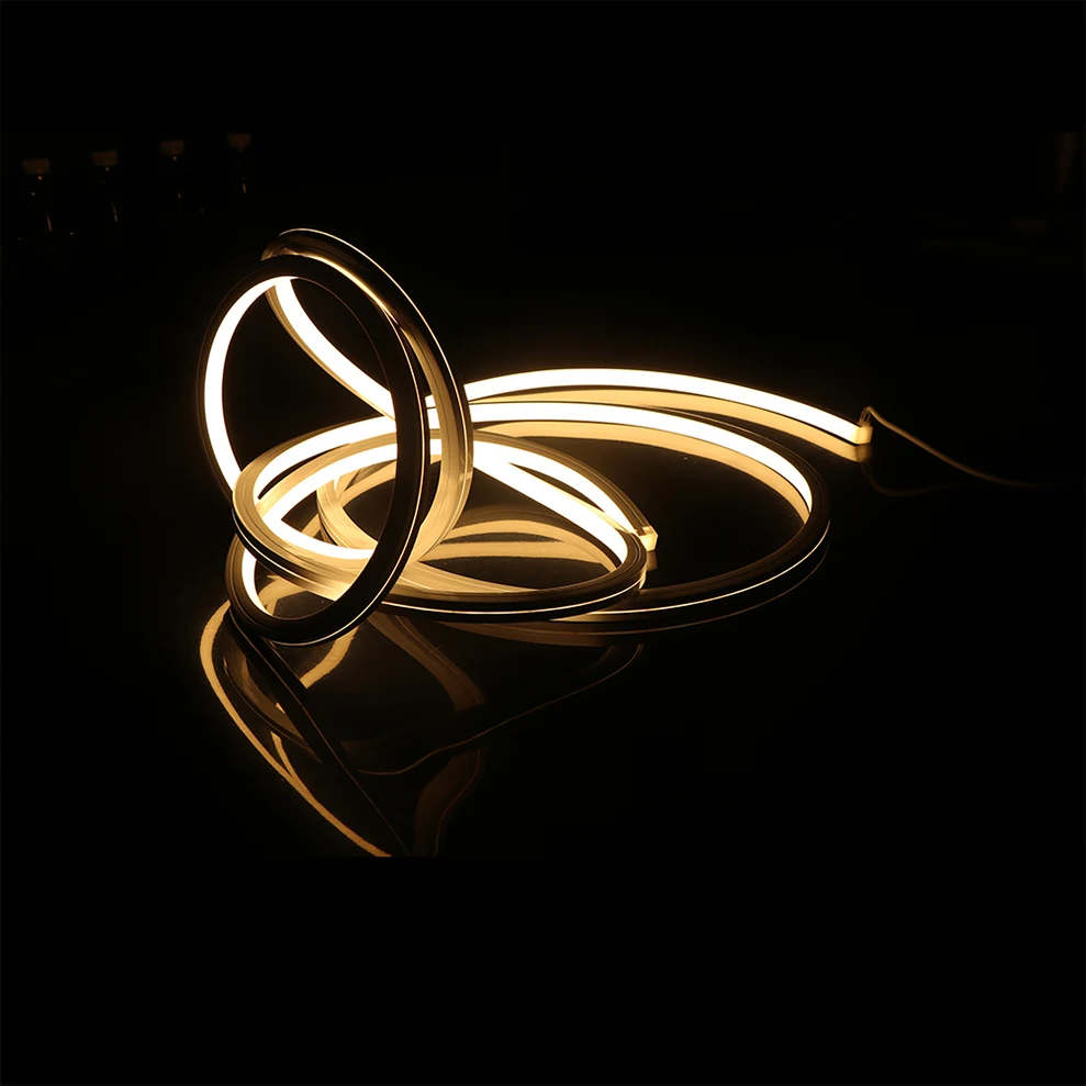 IP66 DC12V Projector Laser Light SMD 2835 Neon Strip Bedroom Neon Strip