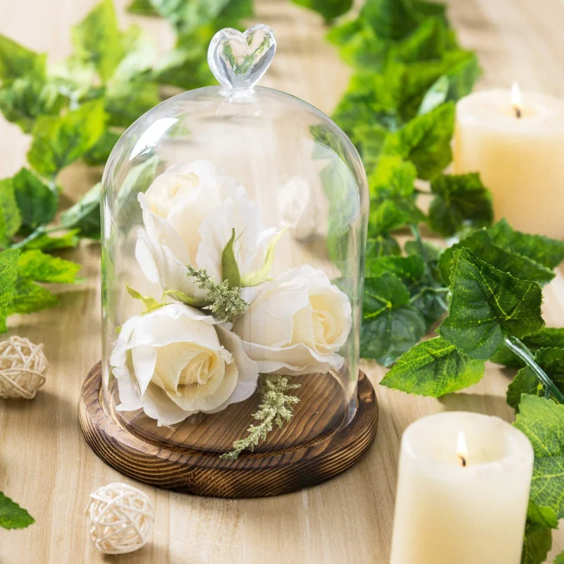 Clear Glass Cloche Bell Jar Cloche Bell Jar Display Dome Case with Wooden Base for flowers