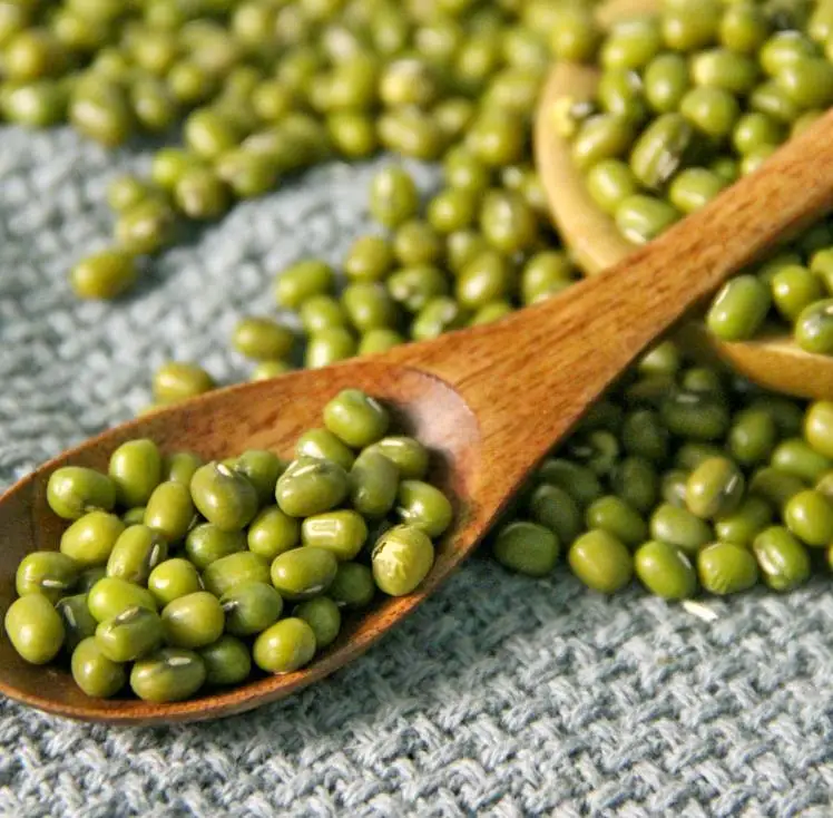 High Quality Vigna Radiata Natural Green Mung