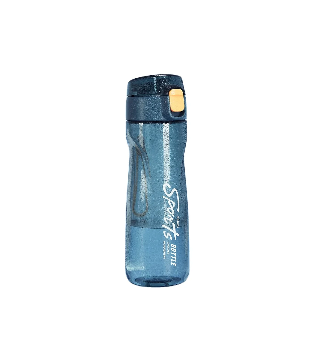 3793L-1Hot Selling Bicycle Sports Water Bottle 500ml Plastic Drinking Water Bottle With Flip Top Lid And Carrying Strap