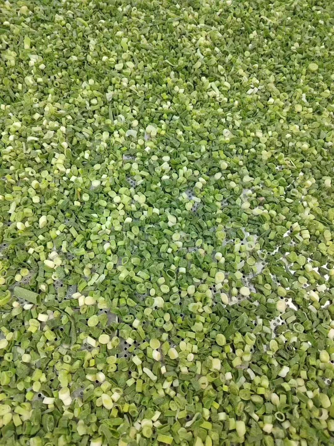 Hot Sale  4-6Mm Iqf Cut Green Onions  Shallot Onion For Stir-Fry  Frozen Green Onions