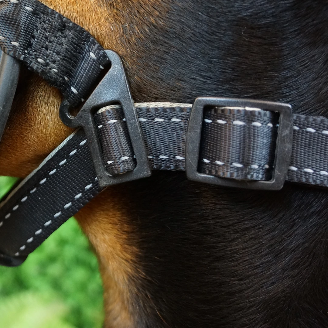 Высокое качество собака намордник мягкий нейлон TPE pitbull синий