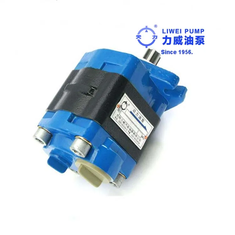 Since 1956 Chinese Forklift Spare Parts 495BPG Hydraulic Pump F32-6L-HC