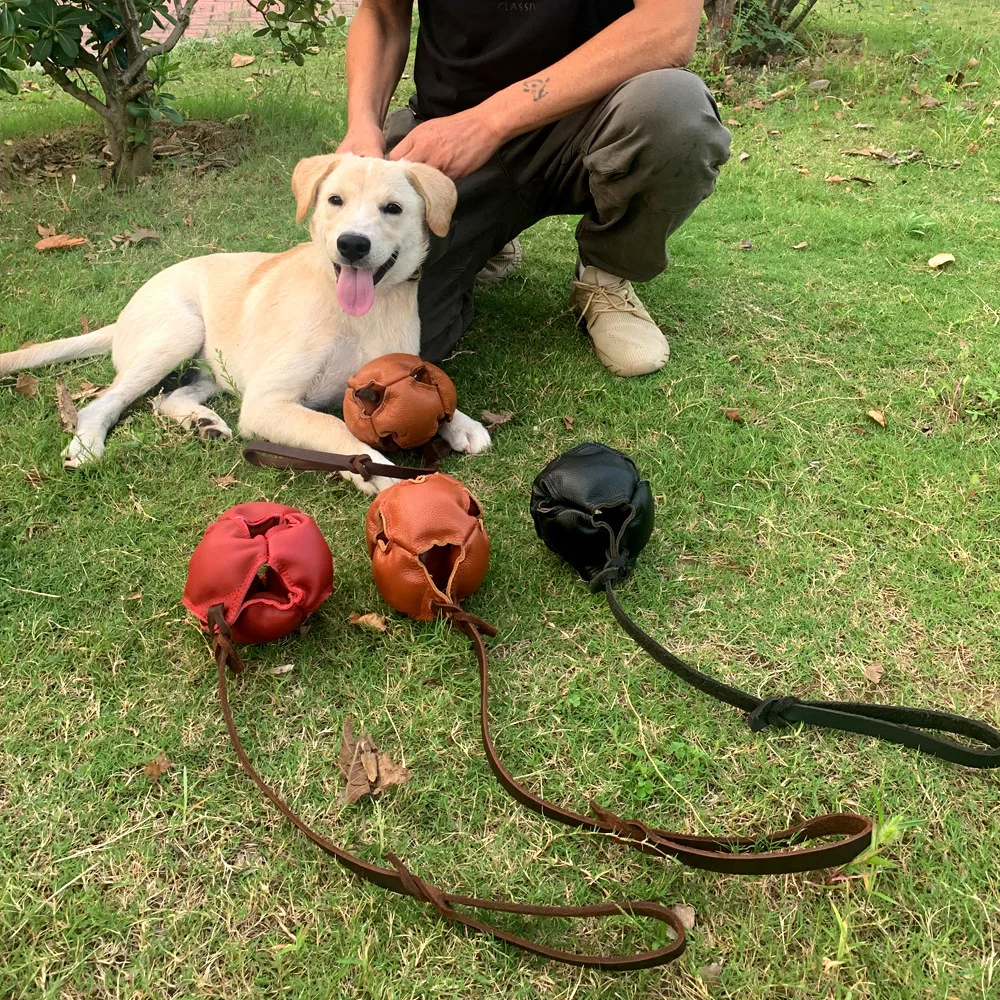Puppy Small and Medium-sized Dog Training Cowhide Ball Training Supplies Tearing Ball Pet Interactive Toys Vent Bite Ball