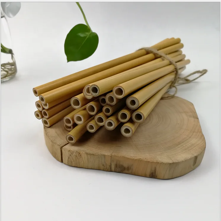 Reusable Organic Biodegradable Bamboo Straw Customized Bulk For Girls Drinking