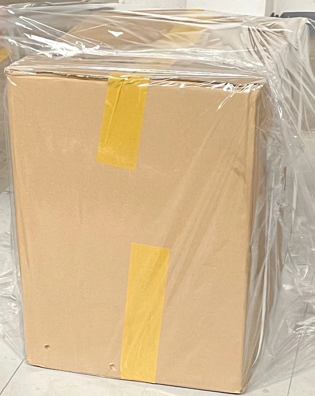 white silver needle tea luxury bai cha bai hao yin zhen