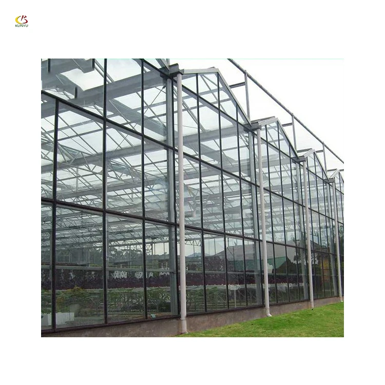 Sawtooth type greenhouse glazing materials glass rooftop greenhouse