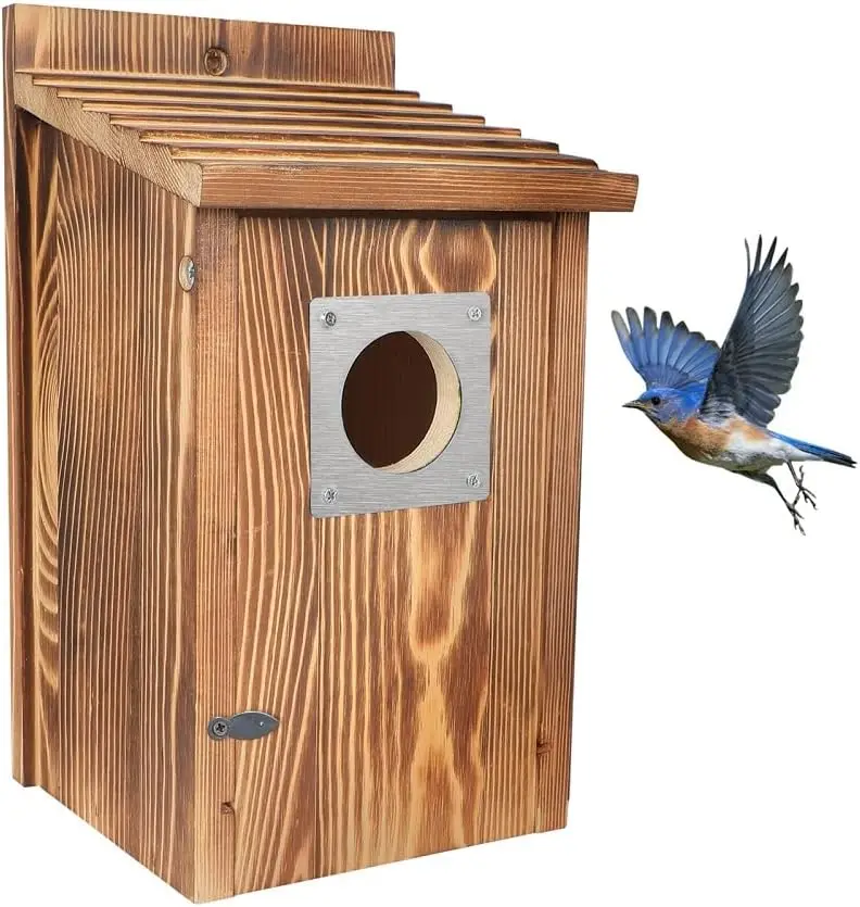 Bird Houses for Outside with Metal Predator Guard for Bluebird Wren Swallow Finch