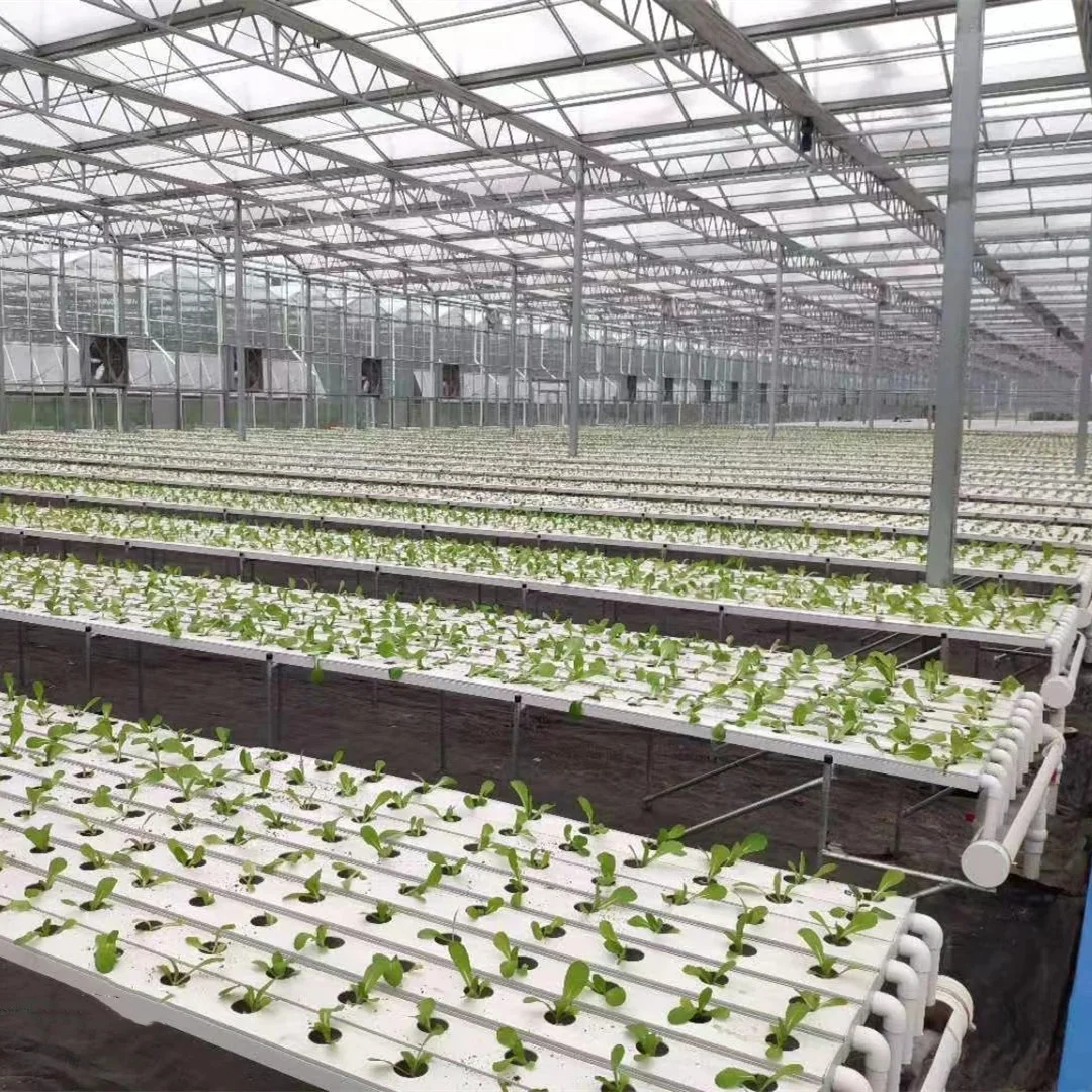New style PVC lettuce for hydroponic grow channels NFT Planting pipes for greenhouse