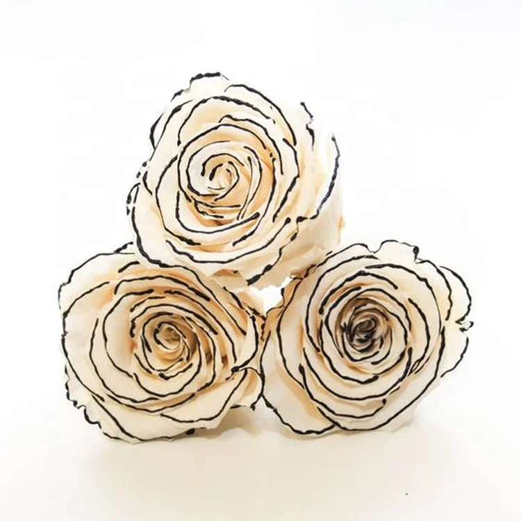 hot sale preserved flowers preserved rose head factory eternal rose preserved high quality for Celebration