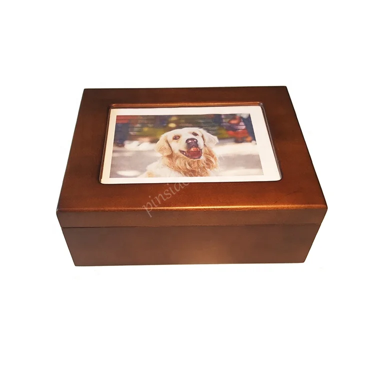 Cat and Dog Pet Cremation Urn