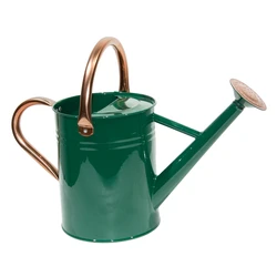 Garden supplies 3.8L water sprinkler head galvanized watering can for garden