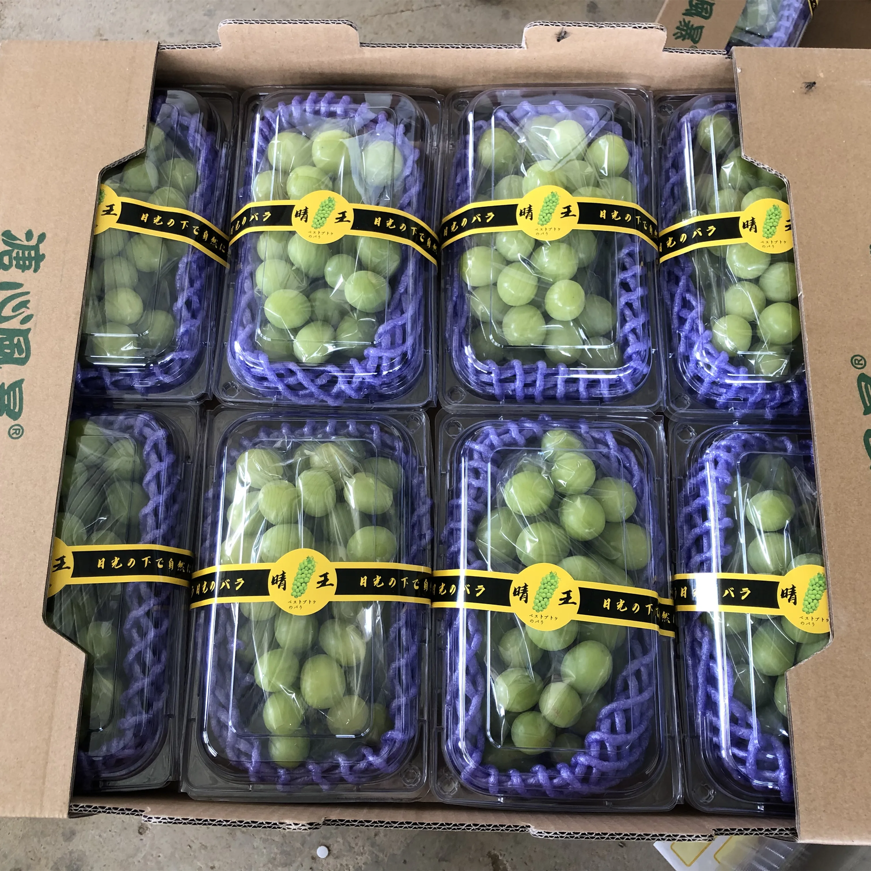 Fresh Organic red globe grapegrapes fruit fresh price shine muscat grape