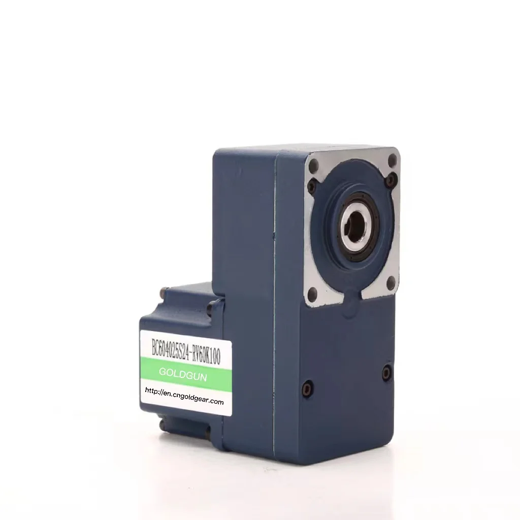 Large Torque High Speed 24mm 42mm 12v 24v 3000rpm/6000rpm Electric Brushless DC gear motor