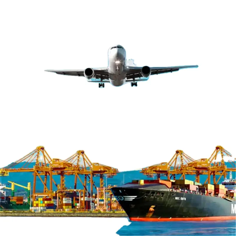Professional And Safty DDP Door To Door Sea Freight Forwarder Agent FBA from China to USA