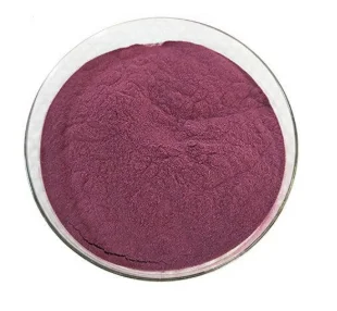 Bulk Pure Blueberry Concentrated Powder with Best Price 1KG Food Supplements