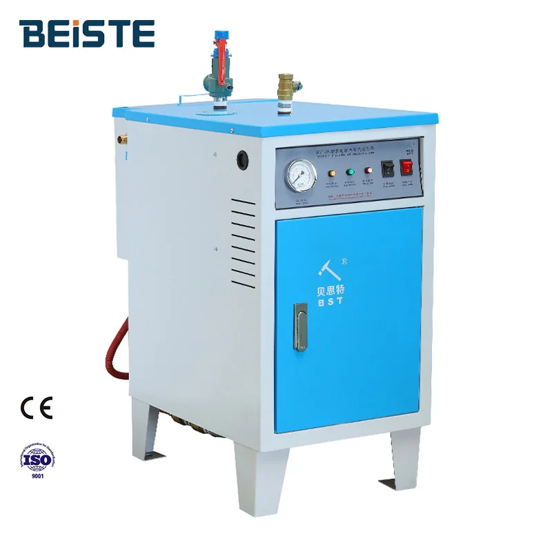 Beiste 3kw 6kw 9kw 12kw 18kw 24kw mini steam generator steam boiler for steam bath