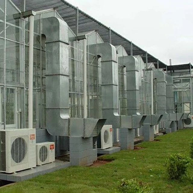 Economic Tunnel Plastic Greenhouse for Vegetable