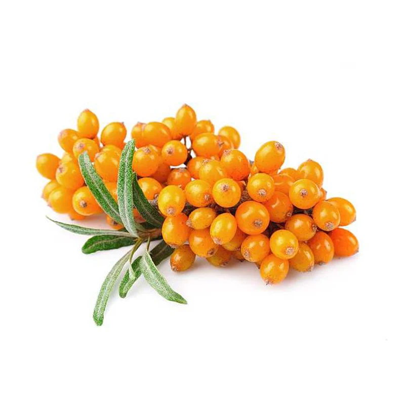 Порошок фруктового сока облепихи, водорастворимый порошок облепихи