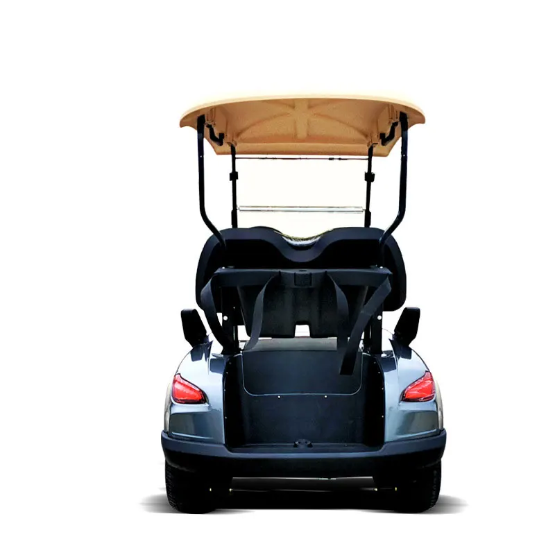 Тележка для гольфа, экскурсионный автомобиль, Электрический четырехколесный привод, привод отеля, ресепшн, просмотр домов на колесах, охрана, патрульный автомобиль