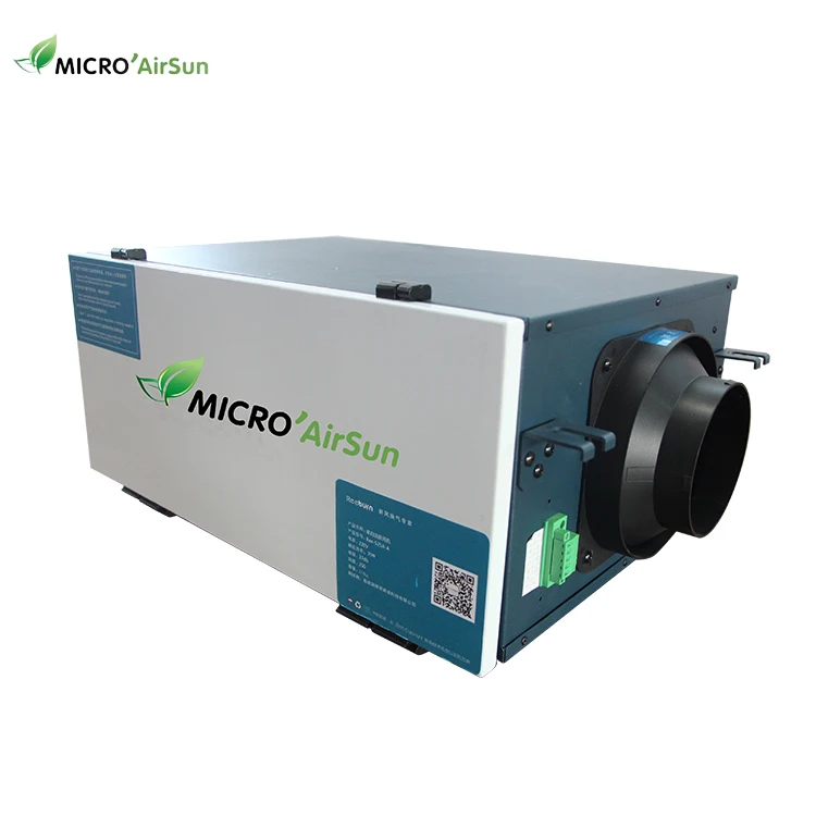 Single duct uni-directional ventilation air handling unit with air purification filter