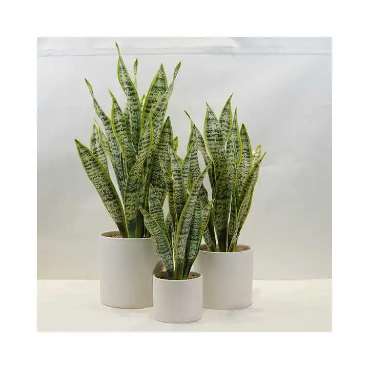 Green Fresh Natural Artificial Simulation Of Snake Plant Garden Indoor And Outdoor Decorative Plant Pot