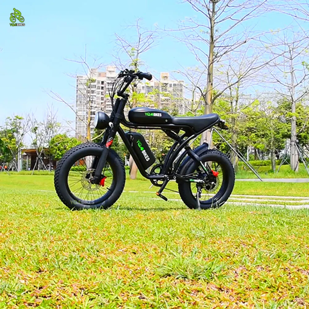 YQEBIKES Dropshipping Factory OEM Single/Dual Motor Ebike 2000W 50Ah Electric Mountain Super Cool Hybrid Bike Electric Bicycle